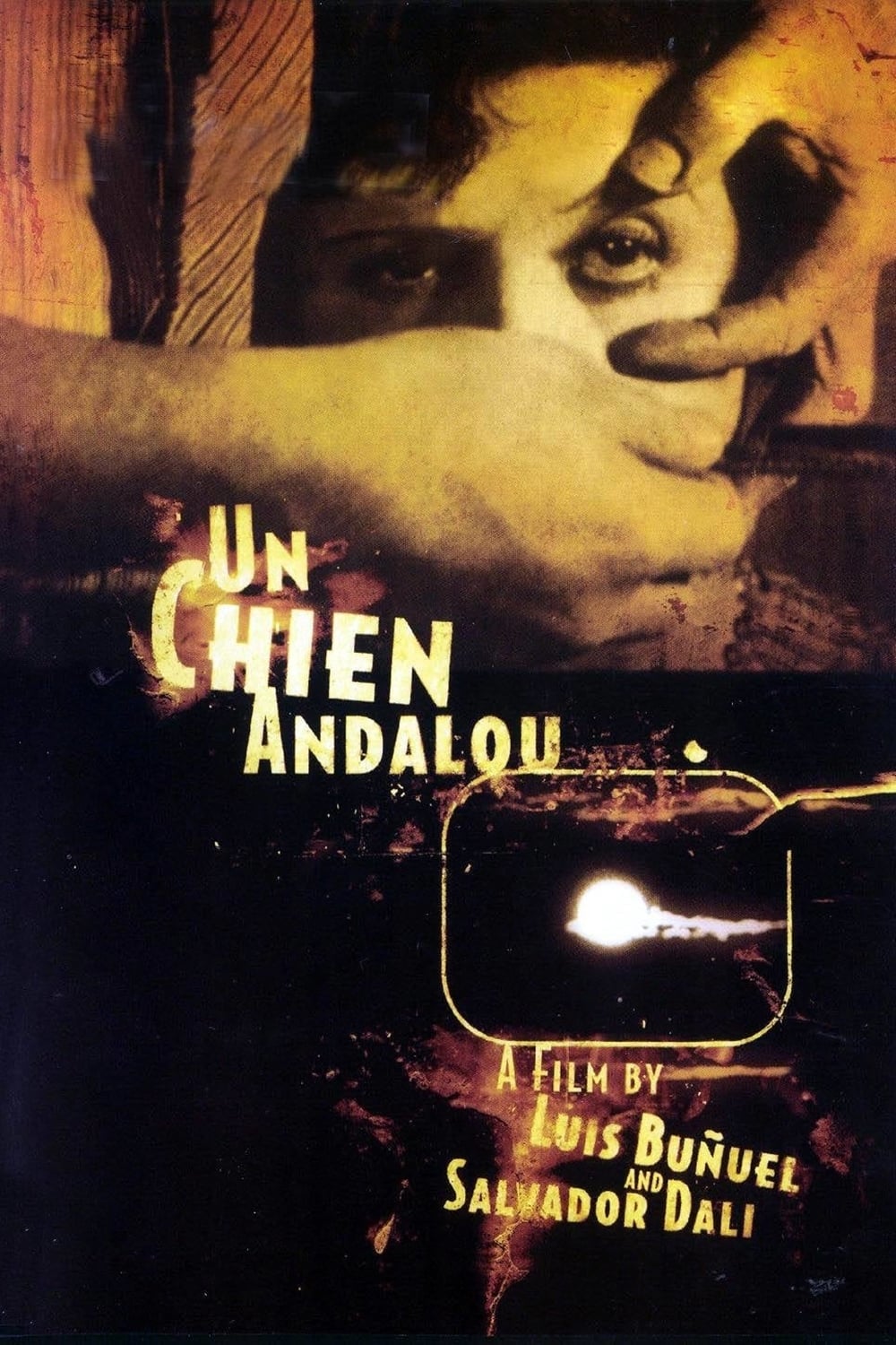 Un chien andalou poster