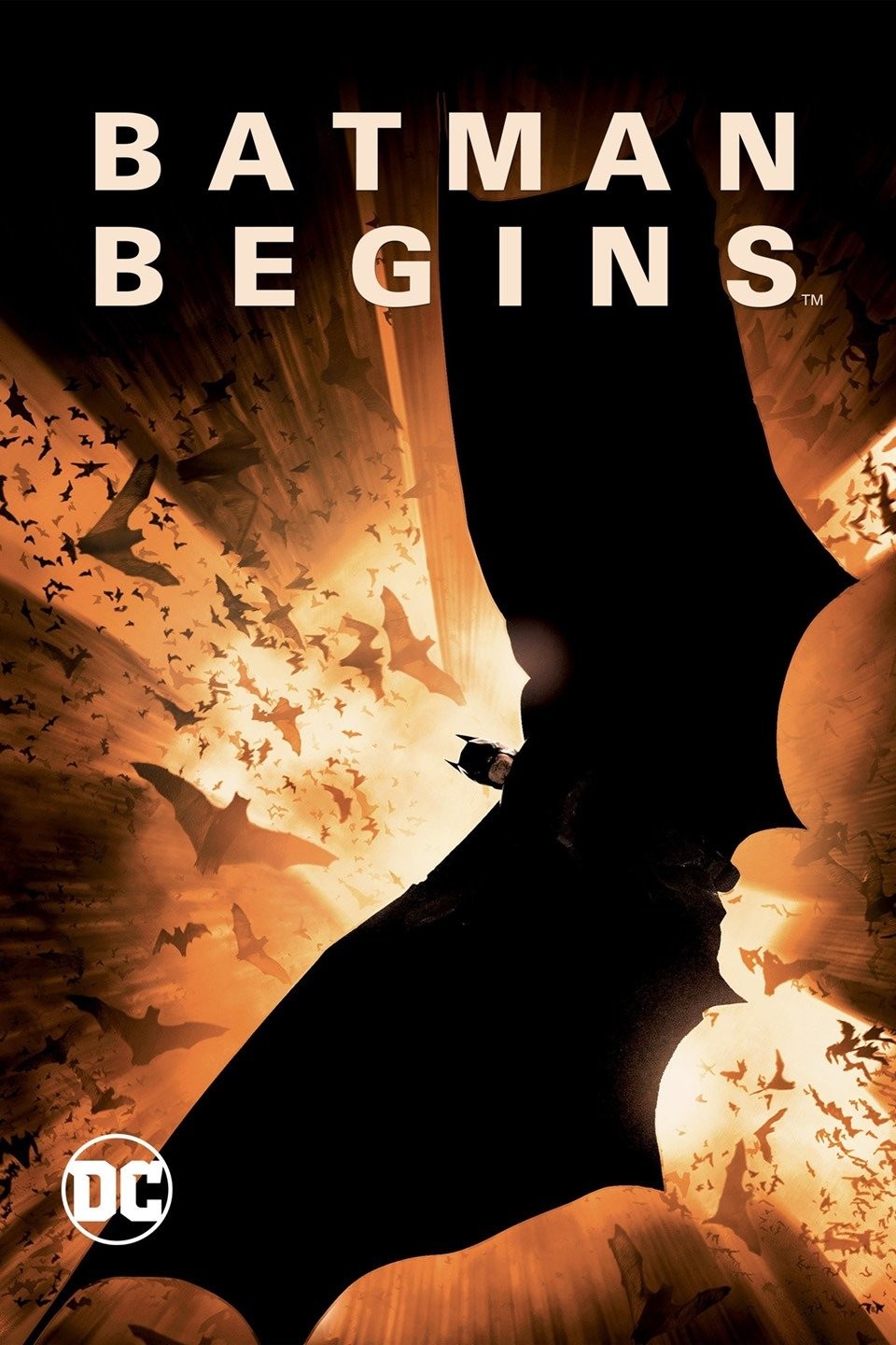 Batman Begins poster